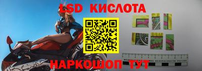 СК Камышлов