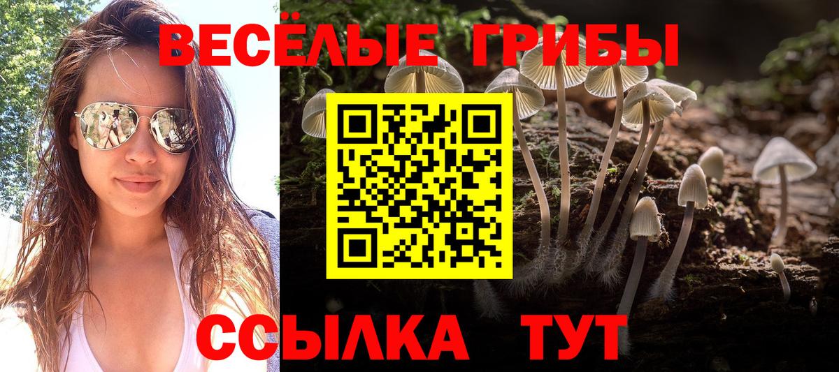 Псилоцибиновые грибы мицелий  Вход с VPN  Лосино-Петровский 